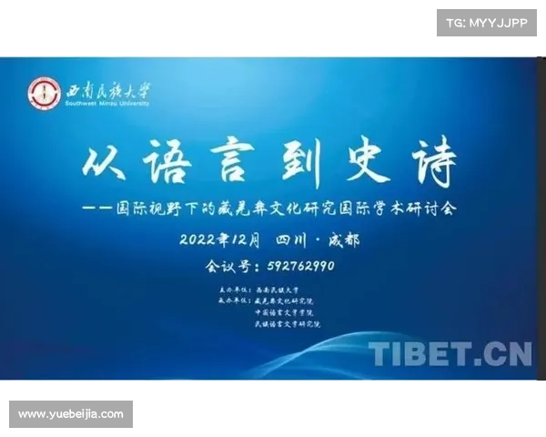 巴舒亚伊的语言背景及其使用的主要语言分析