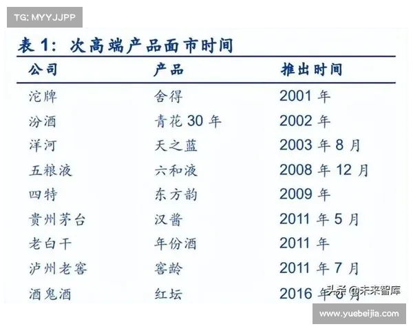 建业足球俱乐部发展历程与现状分析及未来展望